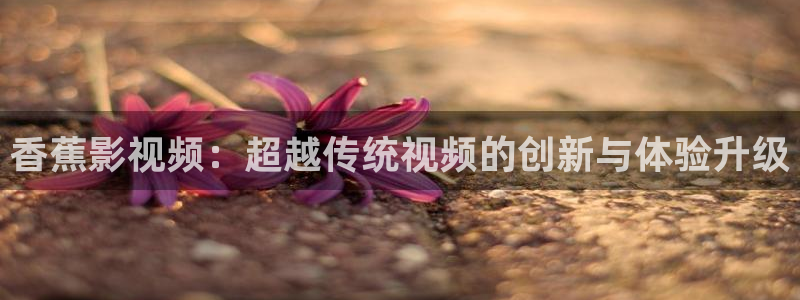 极速影院网站：香蕉影视频：超越传统视频的创新与体验升级