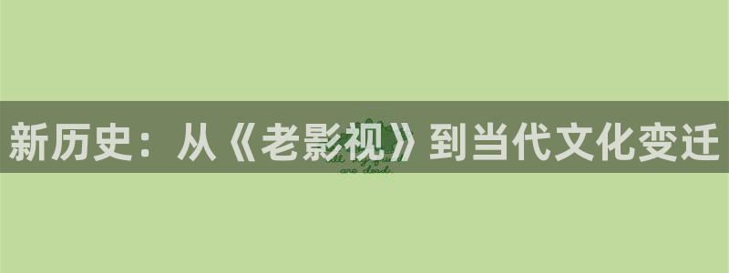 影视工厂极速蓝光：新历史：从《老影视》到当代文化变迁