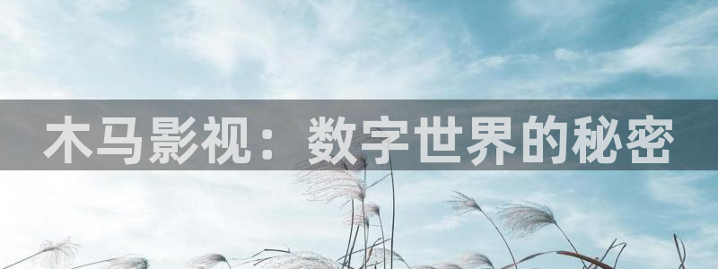 极速版影院：木马影视：数字世界的秘密