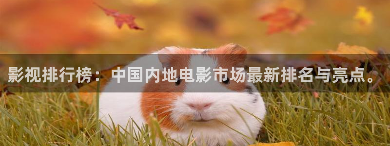 极速影院在线免费观看电视剧：影视排行榜：中国内地电影市场最新排名与亮点。
