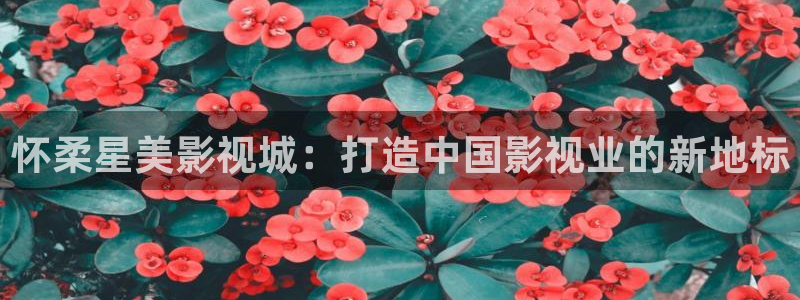 火火视频极速版新版