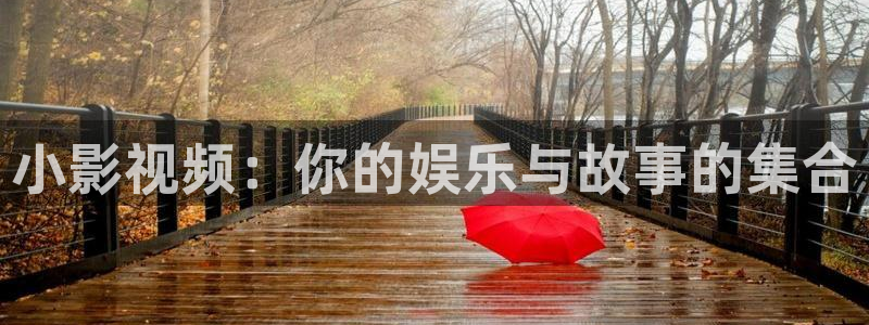 电影极速